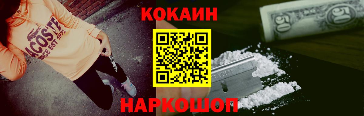 Псилоцибиновые грибы Курчатов