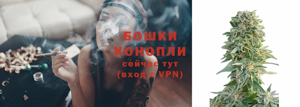 спиды Надым