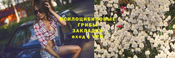 PSILOCYBIN Волосово