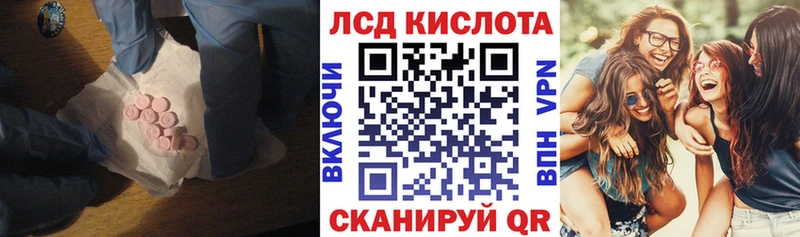 дарнет шоп  Курчатов  ЛСД экстази ecstasy 