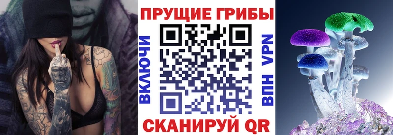 Псилоцибиновые грибы Magic Shrooms  Курчатов 