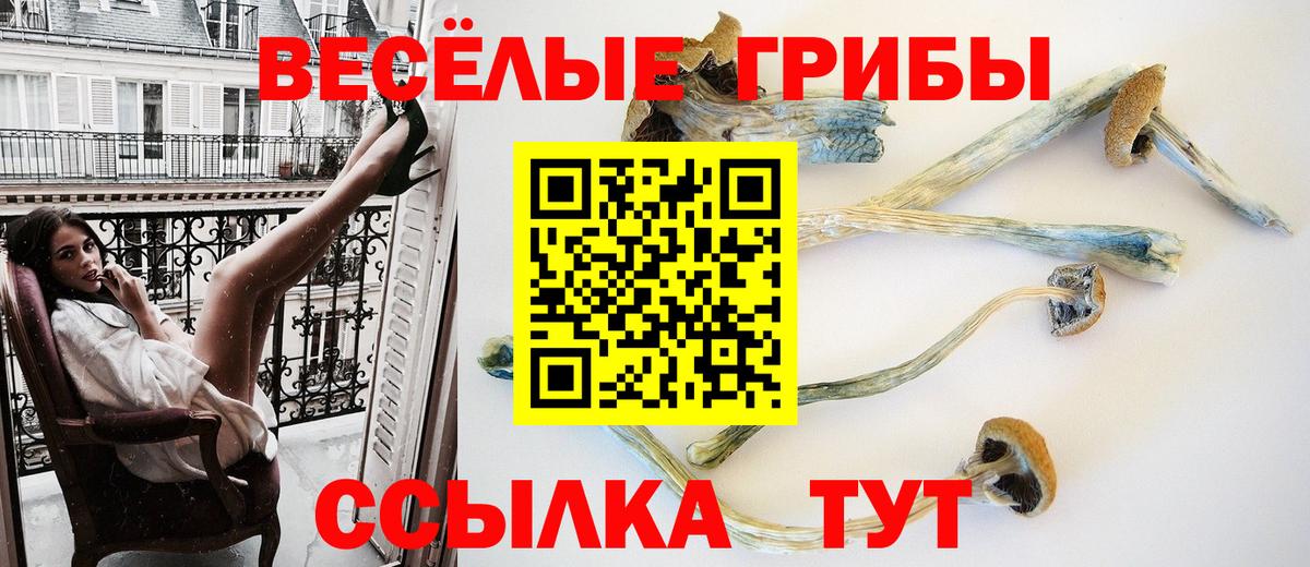 Псилоцибиновые грибы прущие грибы  Вход с VPN  Псилоцибиновые грибы Psilocybine cubensis  Курчатов 