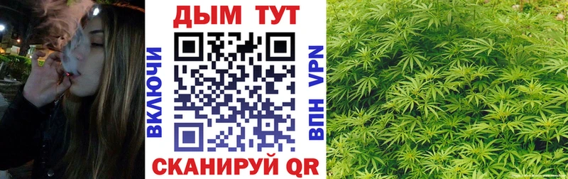 Бошки Шишки гибрид Курчатов